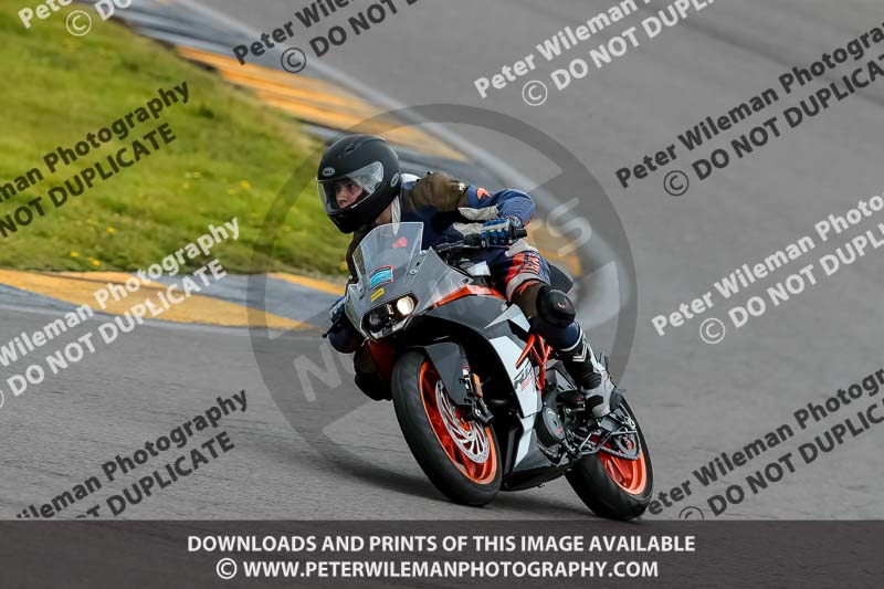 PJ Motorsport 2019;anglesey no limits trackday;anglesey photographs;anglesey trackday photographs;enduro digital images;event digital images;eventdigitalimages;no limits trackdays;peter wileman photography;racing digital images;trac mon;trackday digital images;trackday photos;ty croes